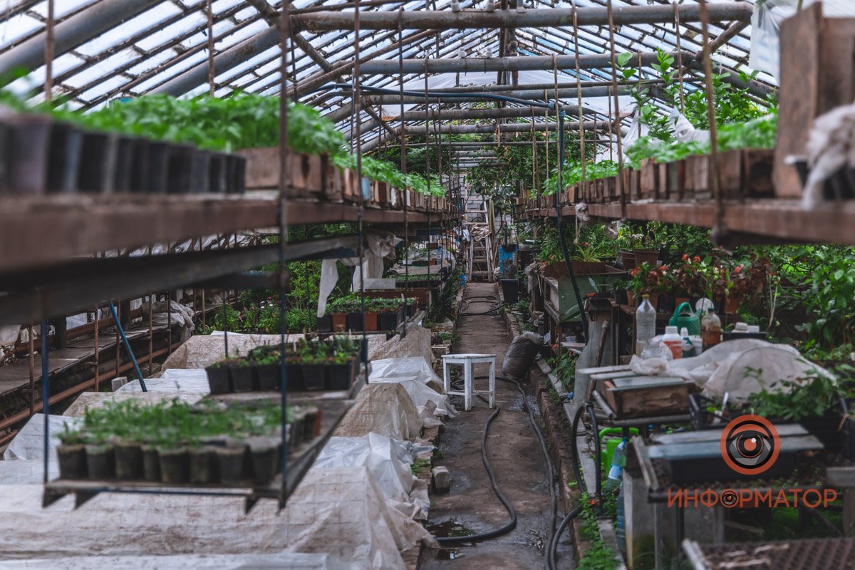 В ботанический сад в Днепре пришла весна 84