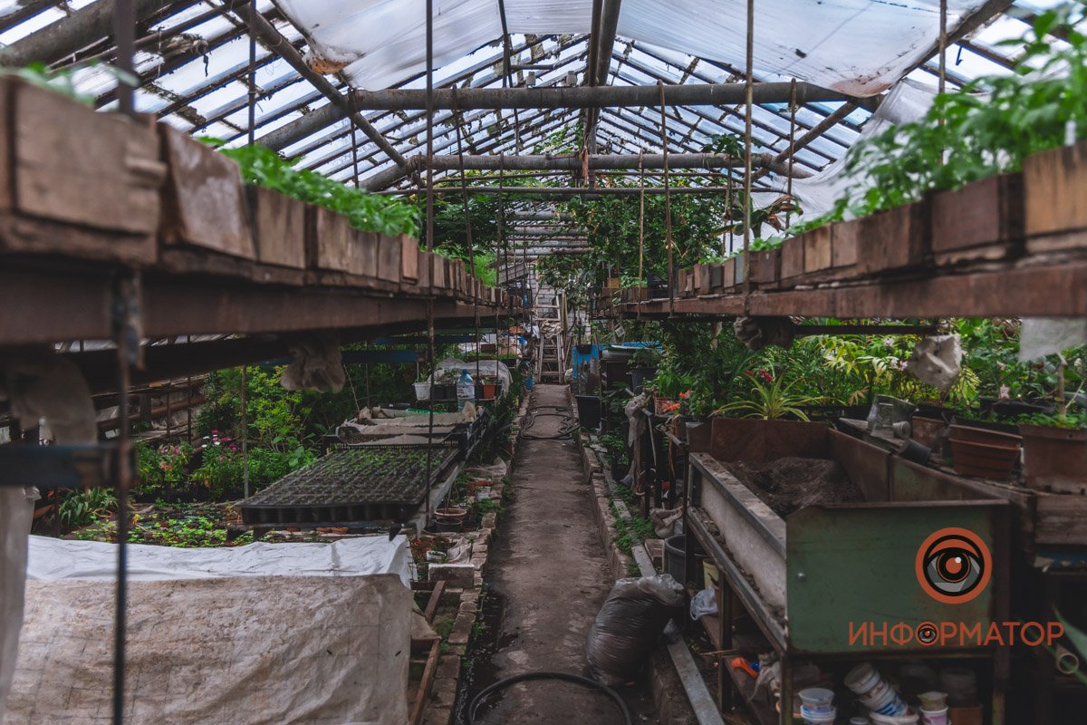 В ботанический сад в Днепре пришла весна 87