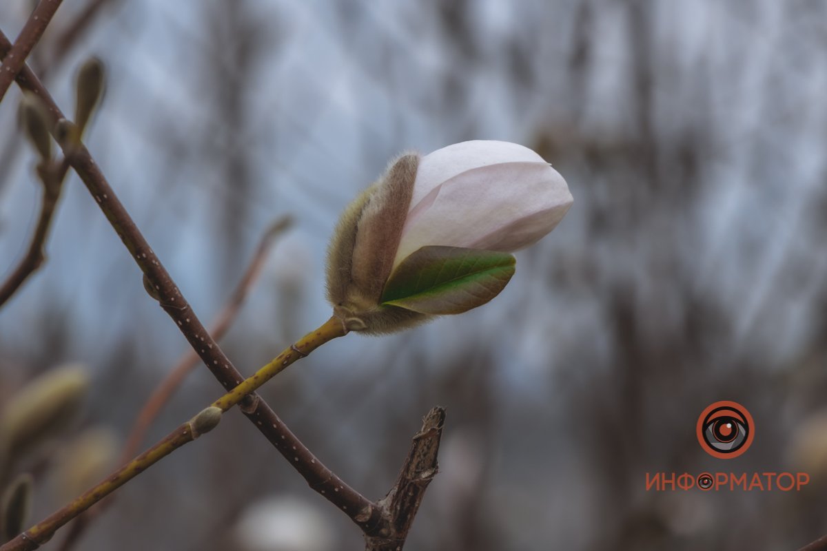 Как будто маленькая ракета готовится к запуску