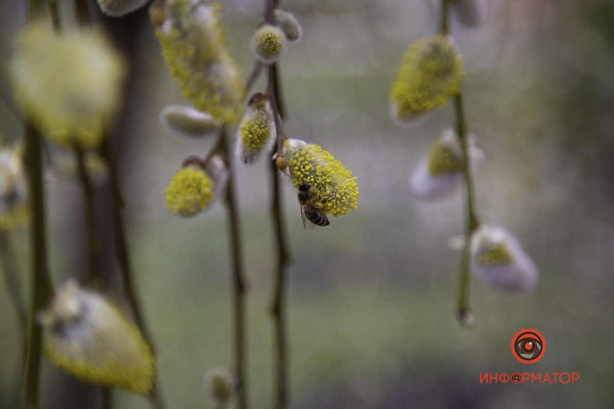 Немного ярких красок в вашу ленту