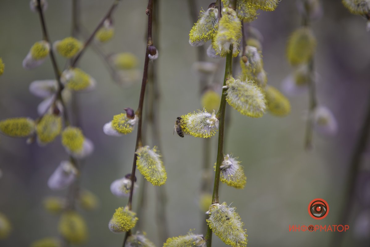 Наконец-то можно что-то собрать