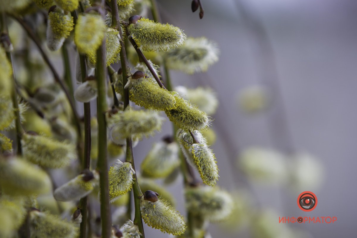 После опыления