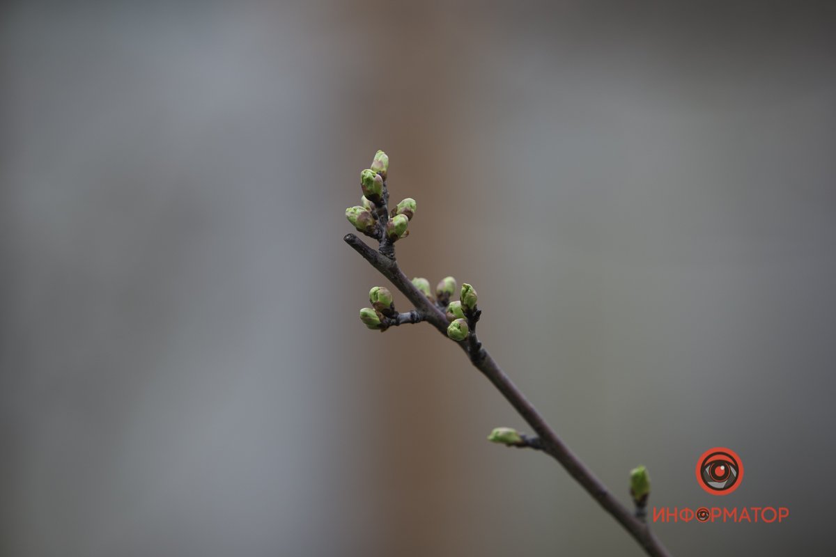 Новая жизнь