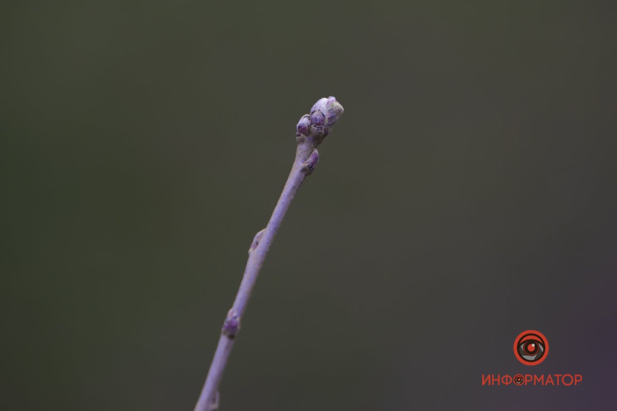 Привет, мир!