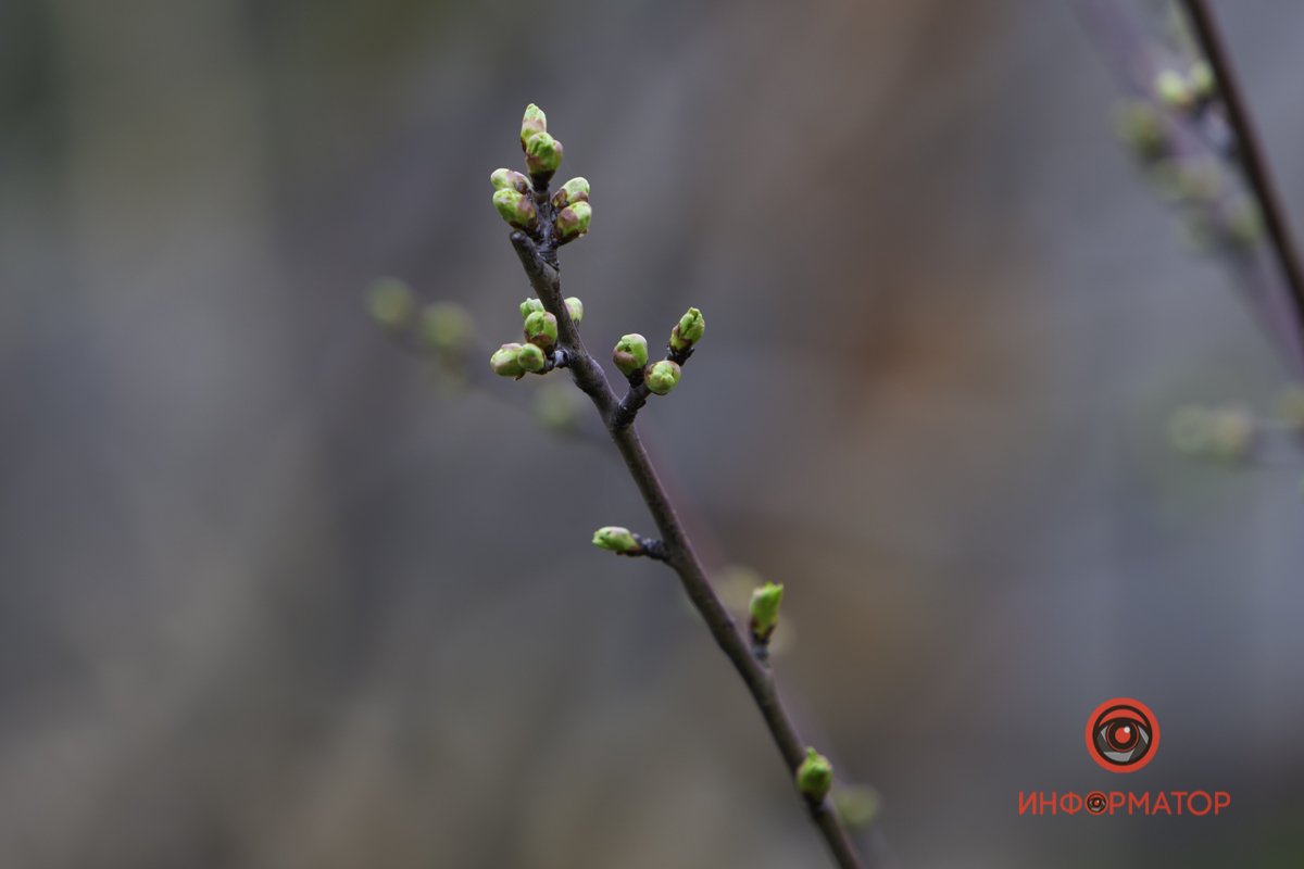 Весна в этом году задержалась