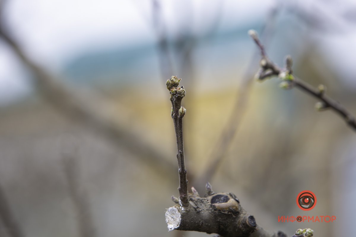 Идет обновление. Пожалуйста, подождите