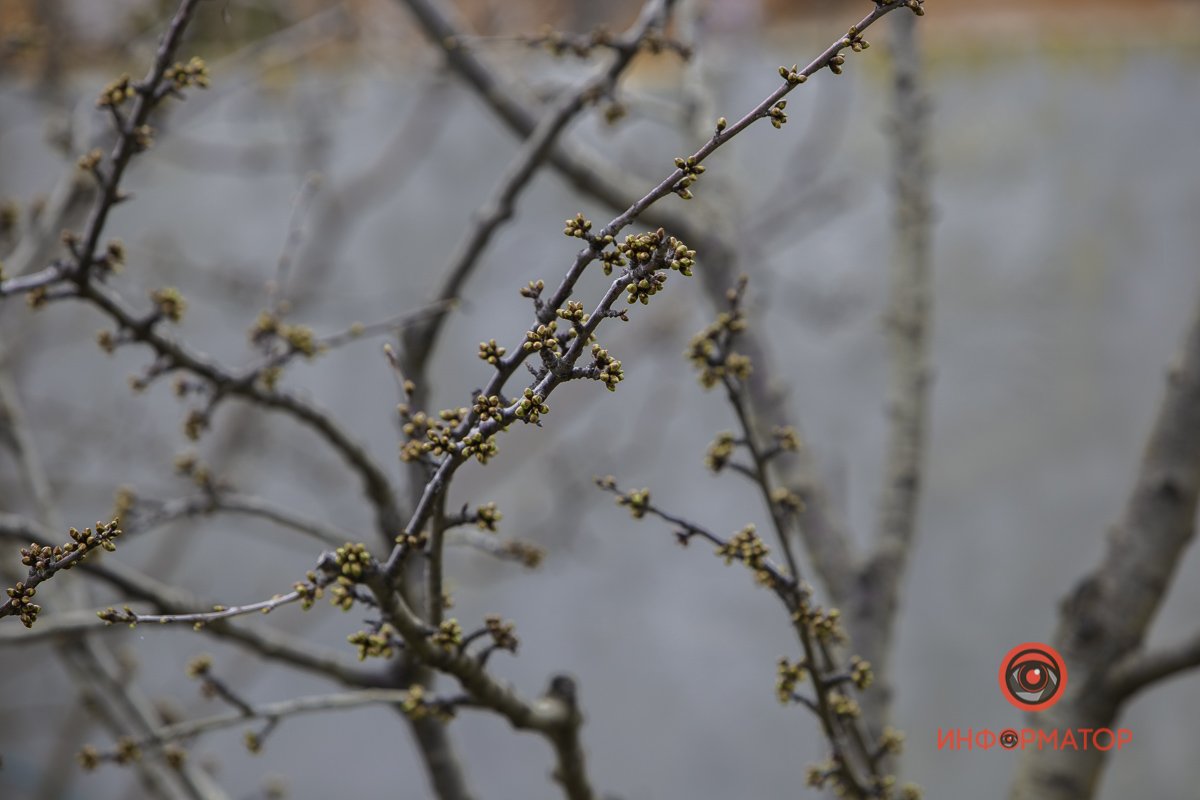 Если природа - лучший художник, то не кажется ли вам, что мы в галерее?