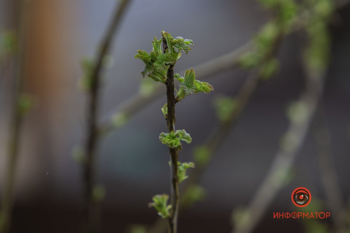 Опережают ровесников в росте