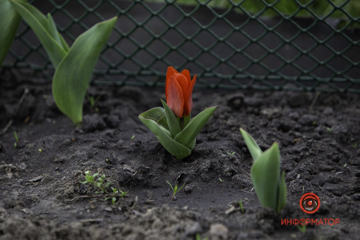 Скоро так будет везде