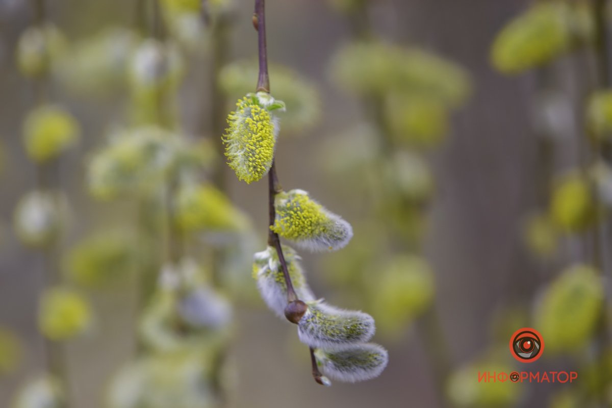 Весенний Днепр прекрасен