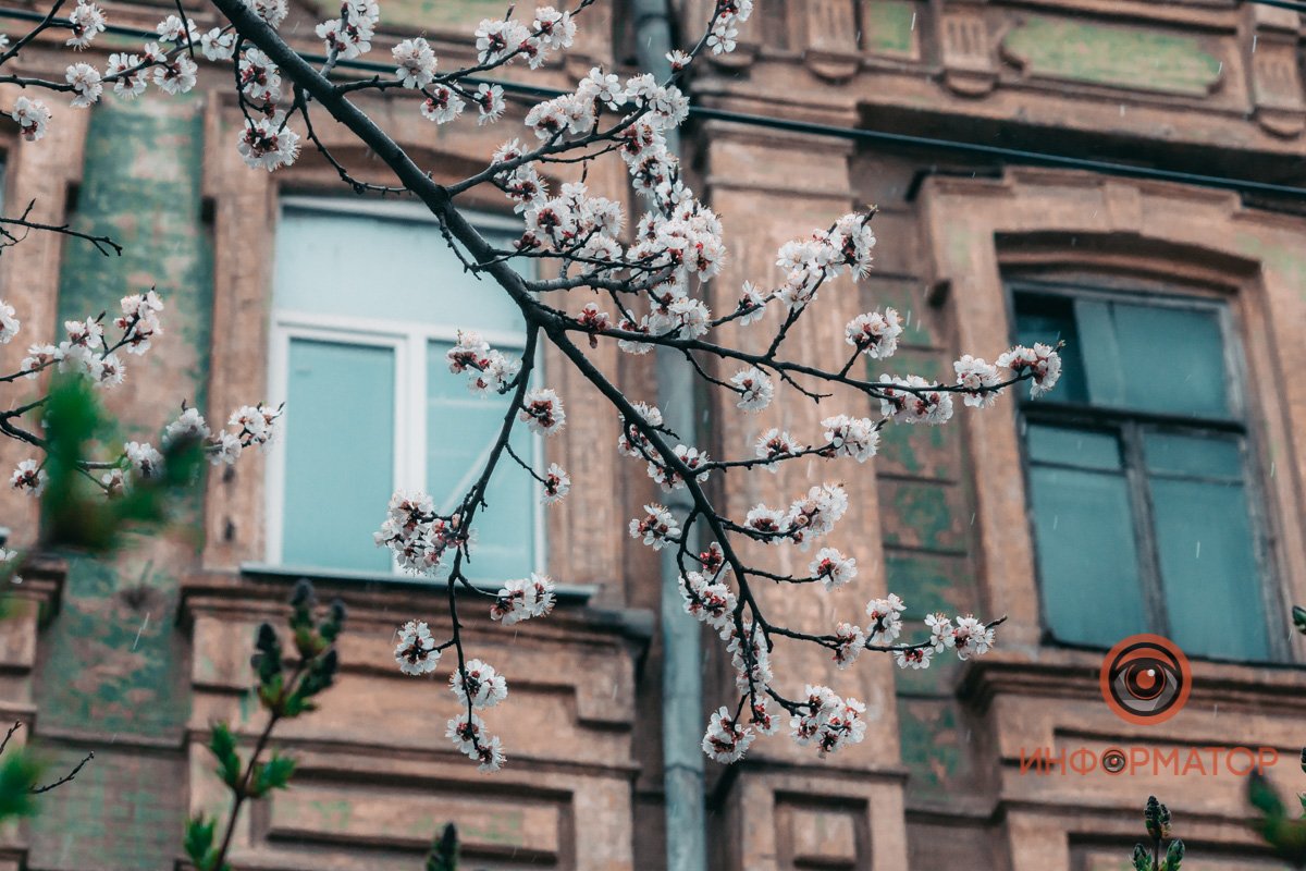Все цветет