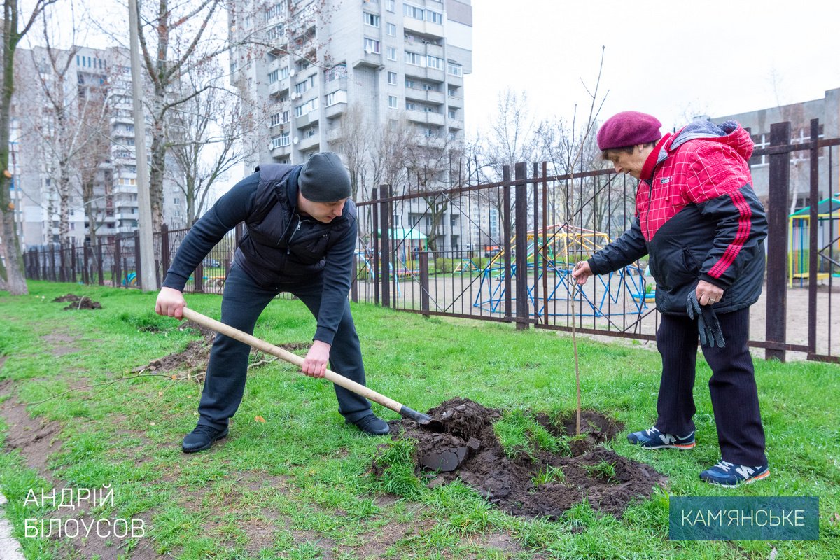 1000 деревьев и 600 кустов высадили в Каменском ко Дню окружающей среды 4