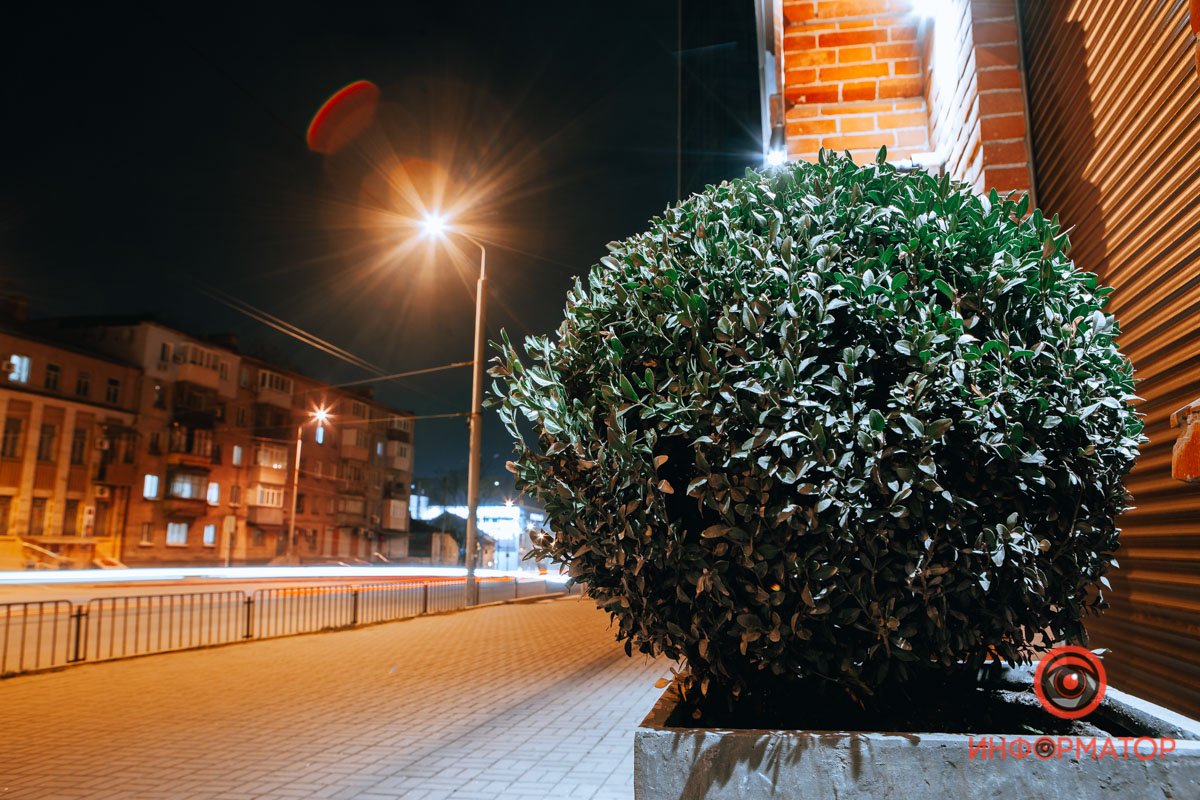 Природа берет свое