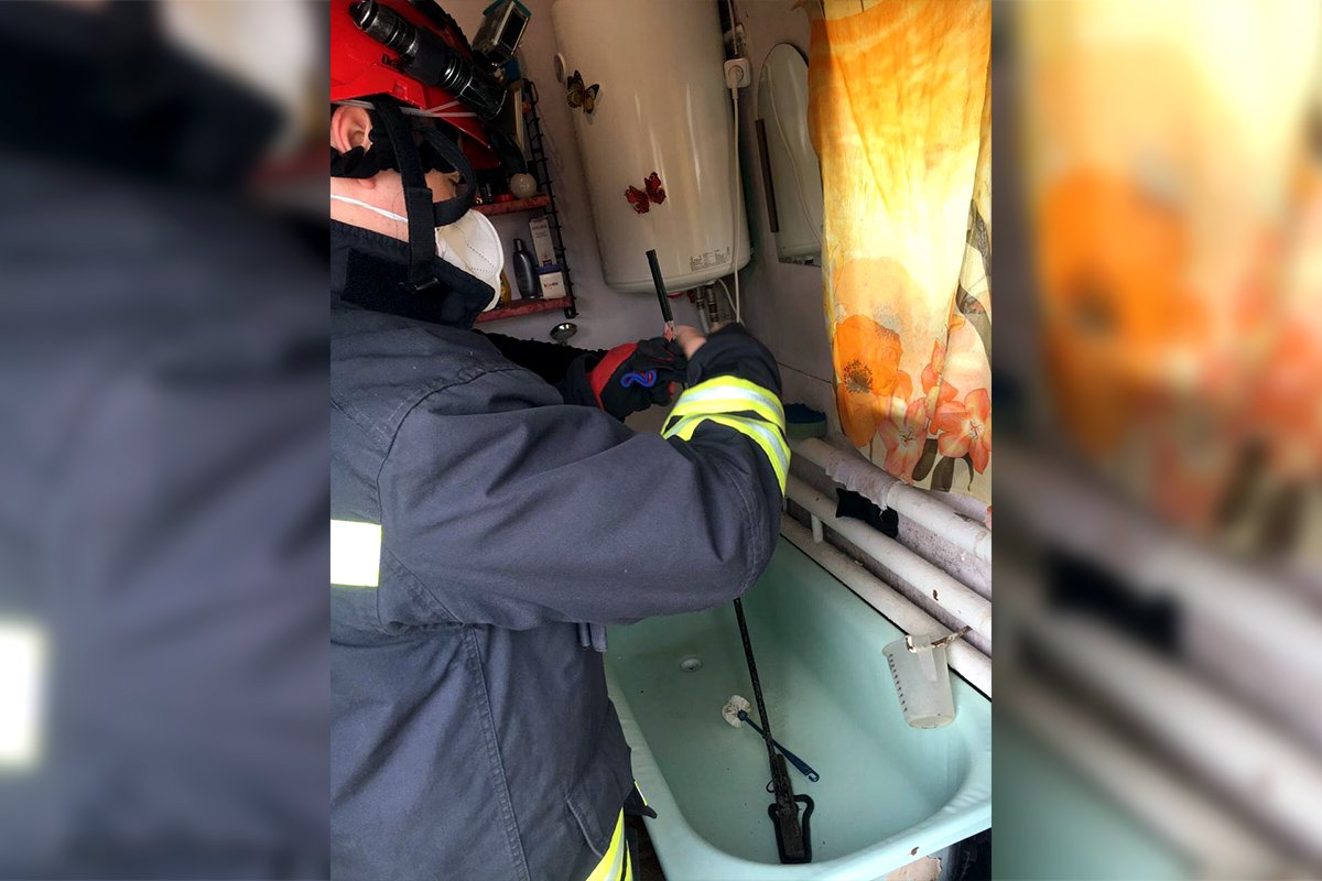 Змею поймали при помощи специального инструмента