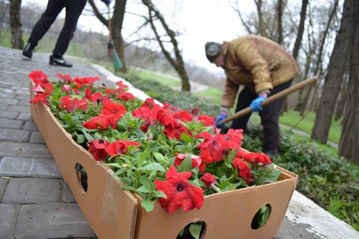 Миллион алых цветов высадят в Днепропетровской области в память о героях Великой Отечественной войны, - Геннадий Гуфман 6