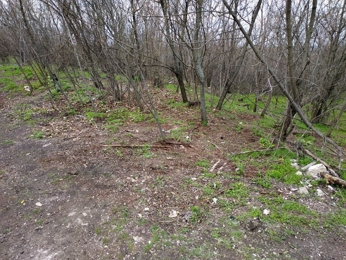 Свалки как и не было Свалки как и не было