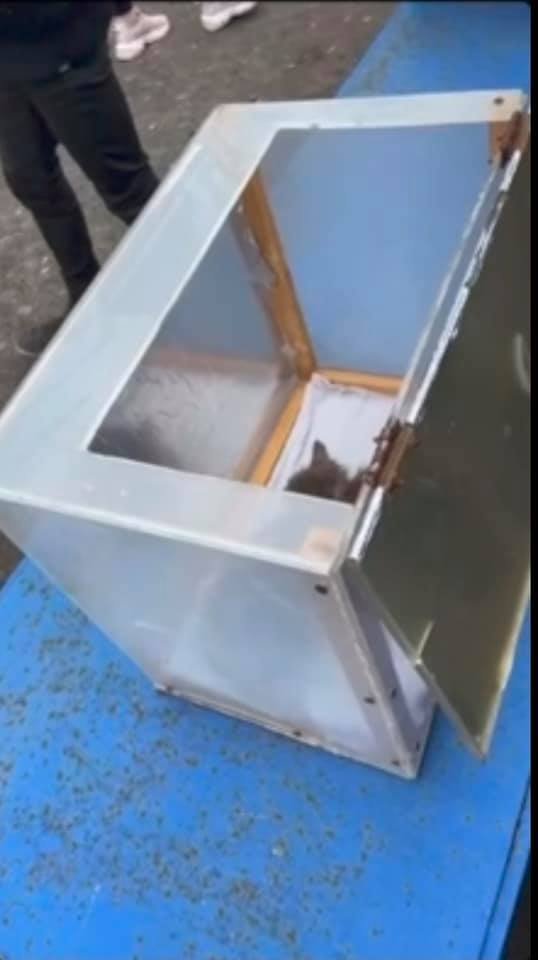 Перекупщица бросила котят на волонтера Перекупщица бросила котят на волонтера