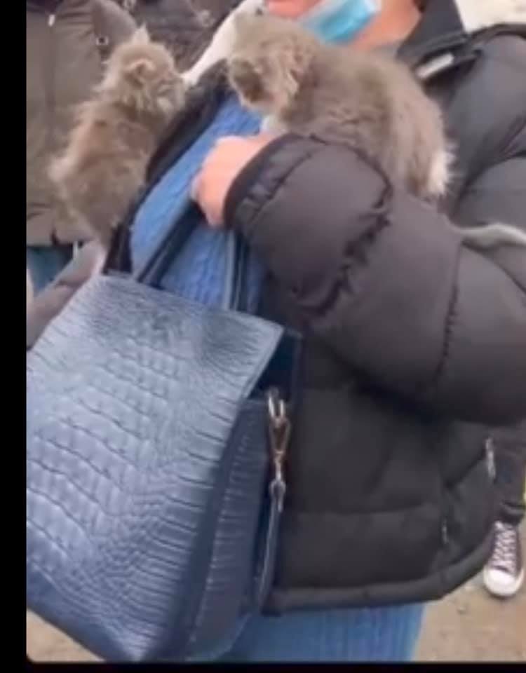 Нужна помощь Нужна помощь