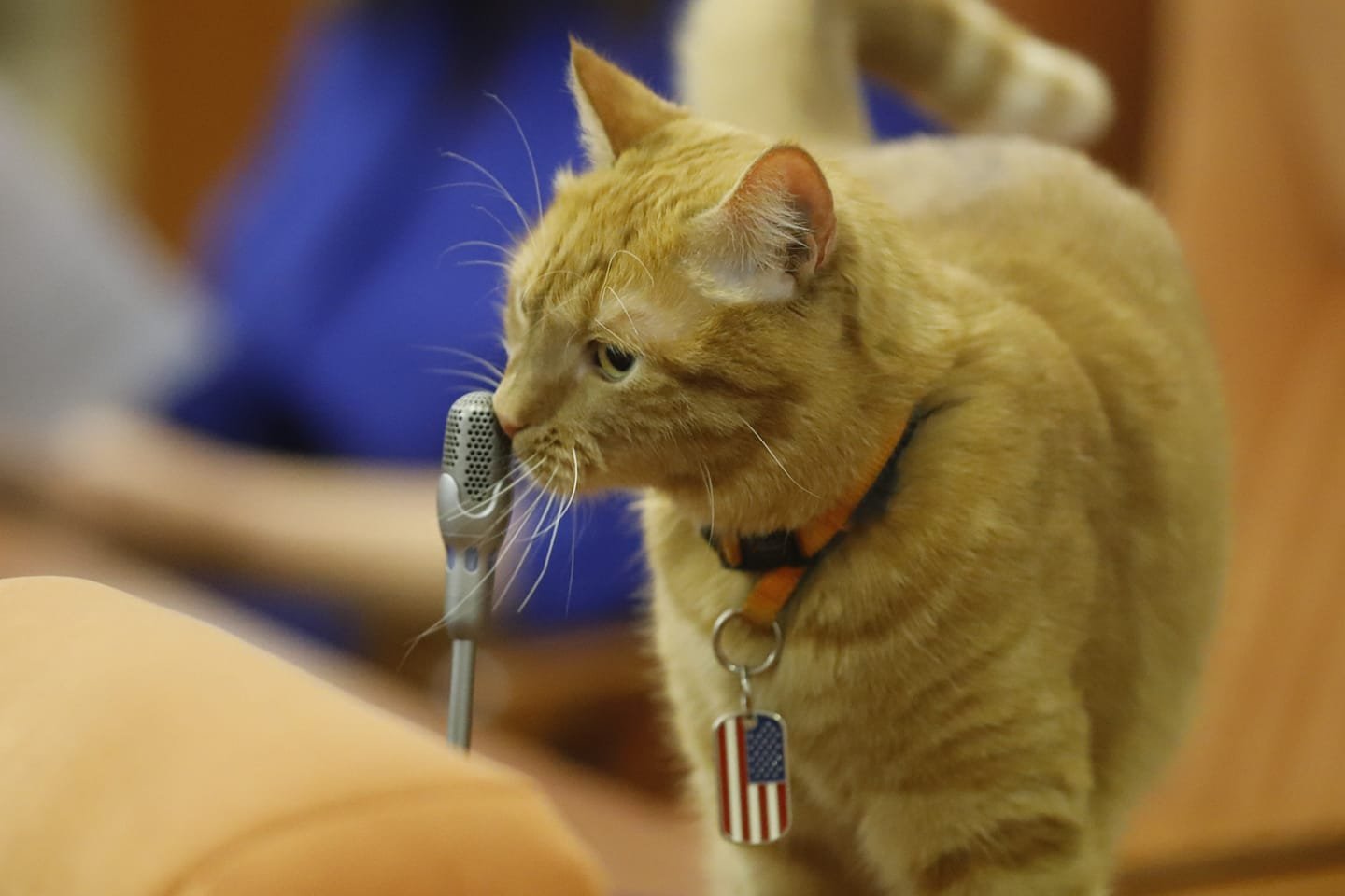 В Днепре на сессию горсовета пришел Байден 1