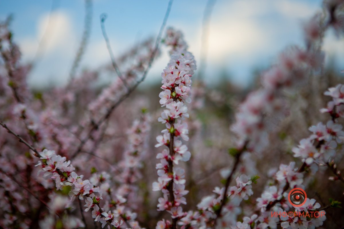 Всевозможные цвета Всевозможные цвета