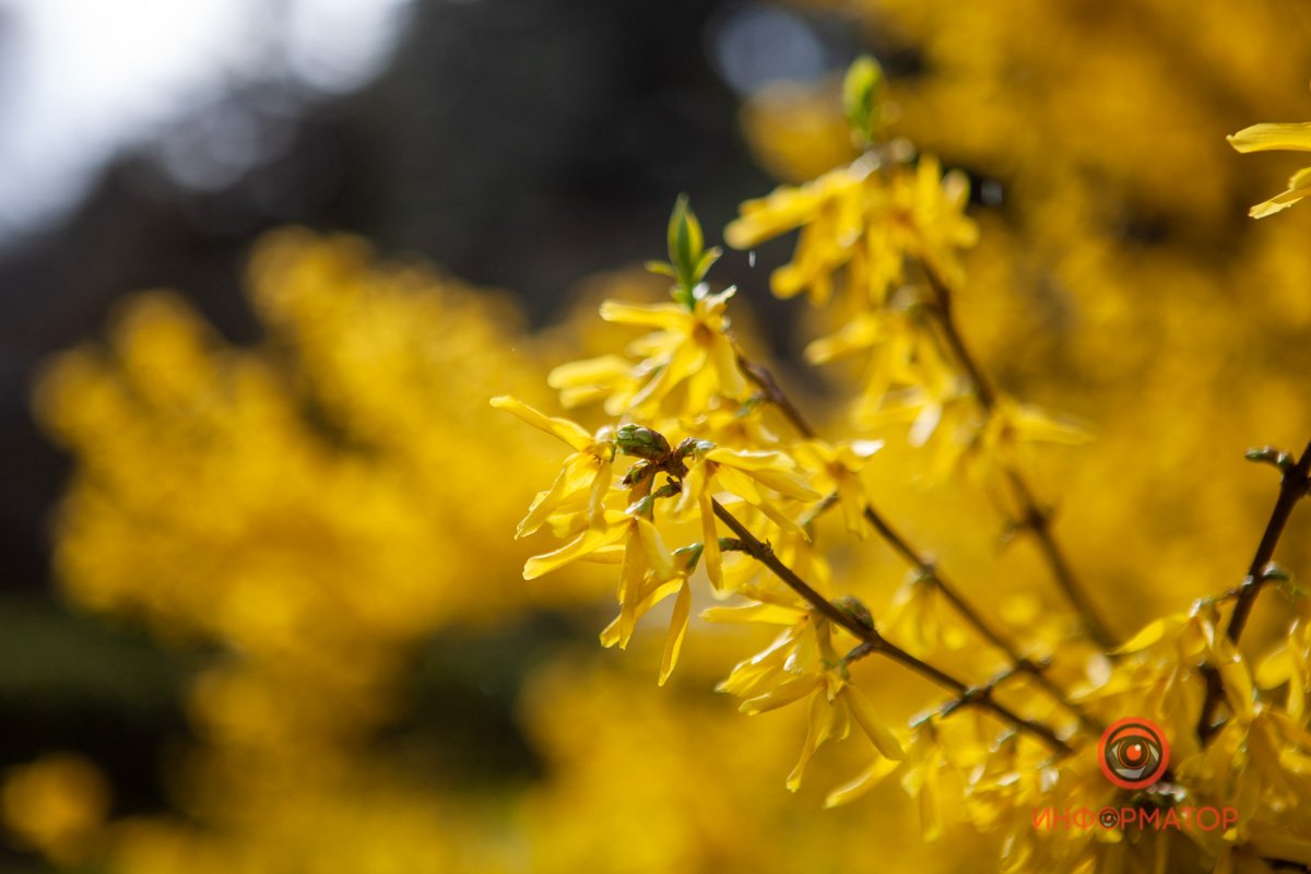 Обман зрения Обман зрения