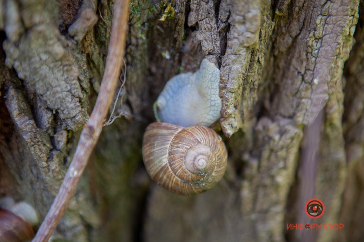 Разве не милашка? Разве не милашка?