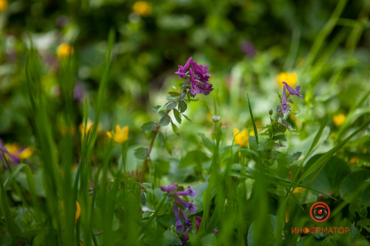 Всегда бы так Всегда бы так