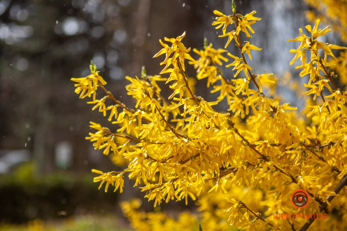 Долго будет греть душу Долго будет греть душу