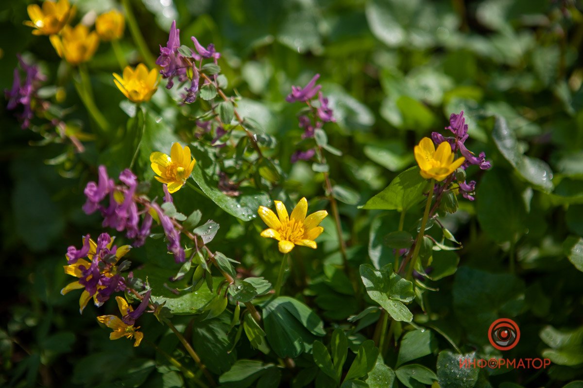 Сочетается Сочетается