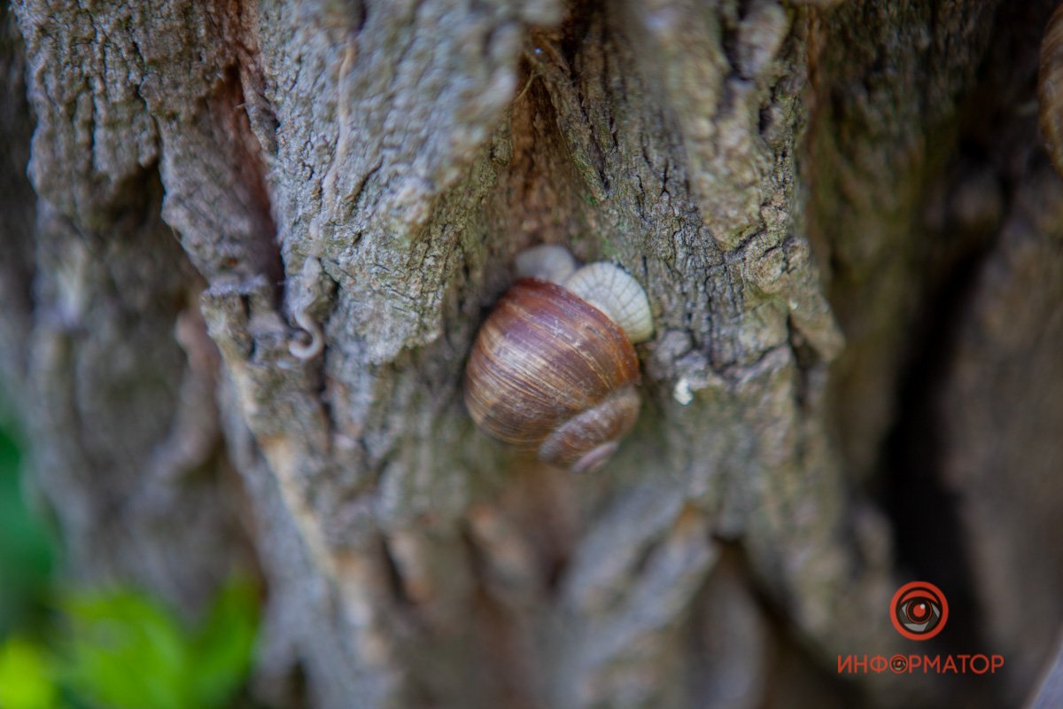 Прячется от дождика Прячется от дождика