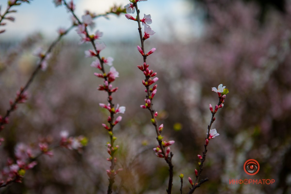 Все еще впереди Все еще впереди