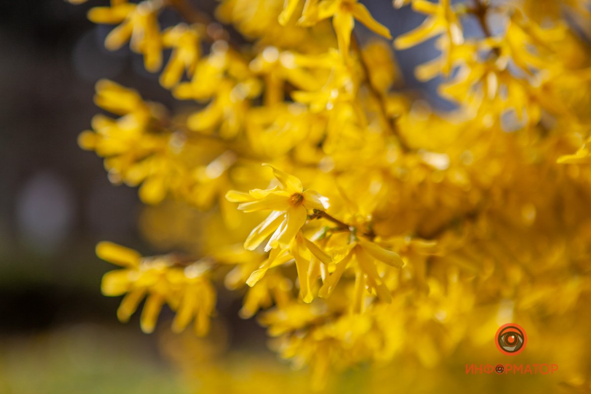 Показывает самое сердечко Показывает самое сердечко