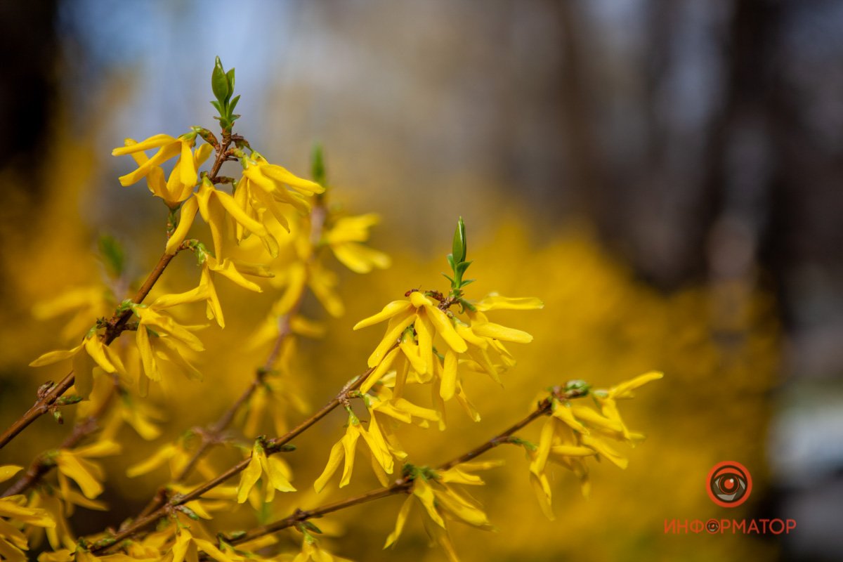 Скоро вернутся дожди Скоро вернутся дожди