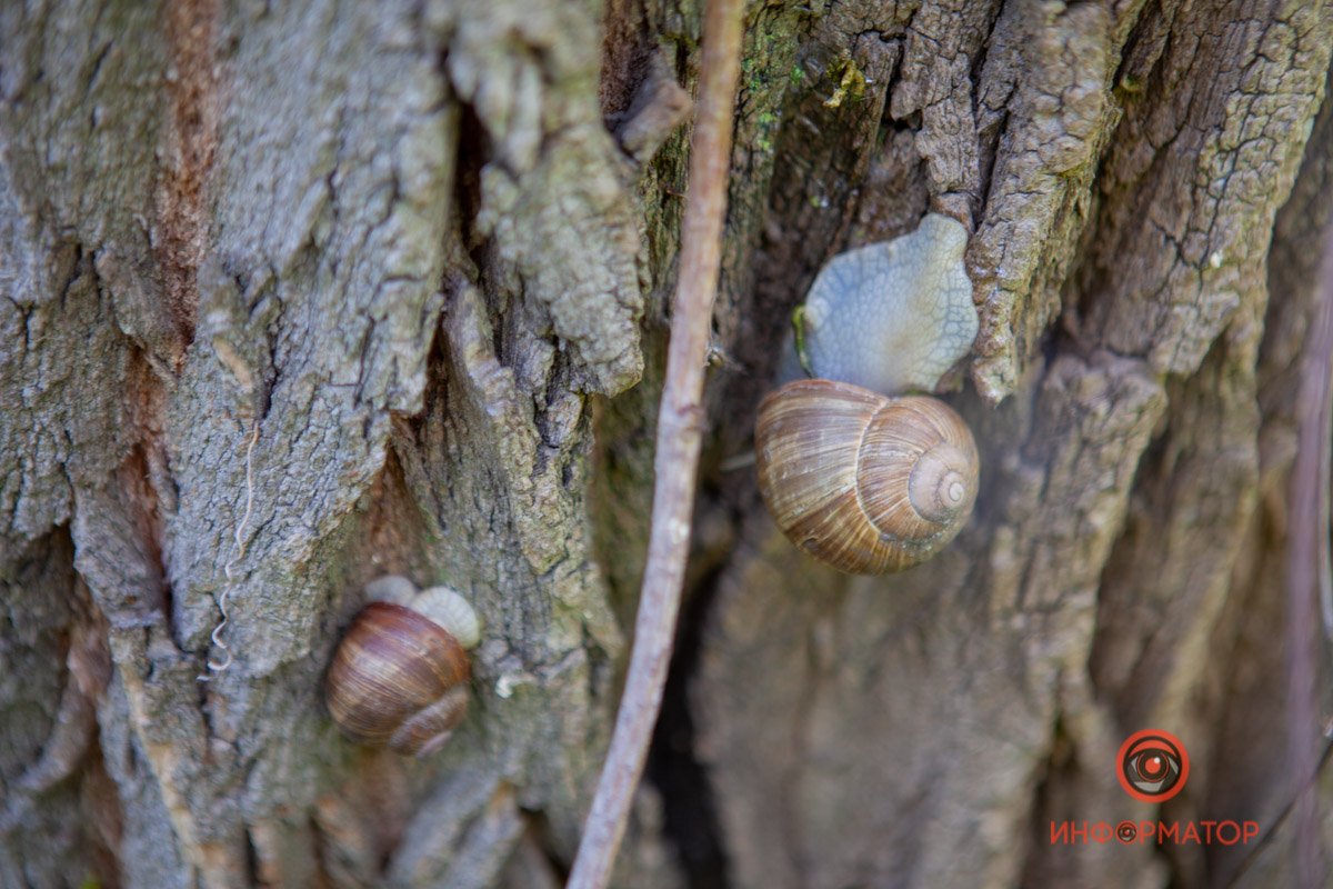 Пришла с другом Пришла с другом