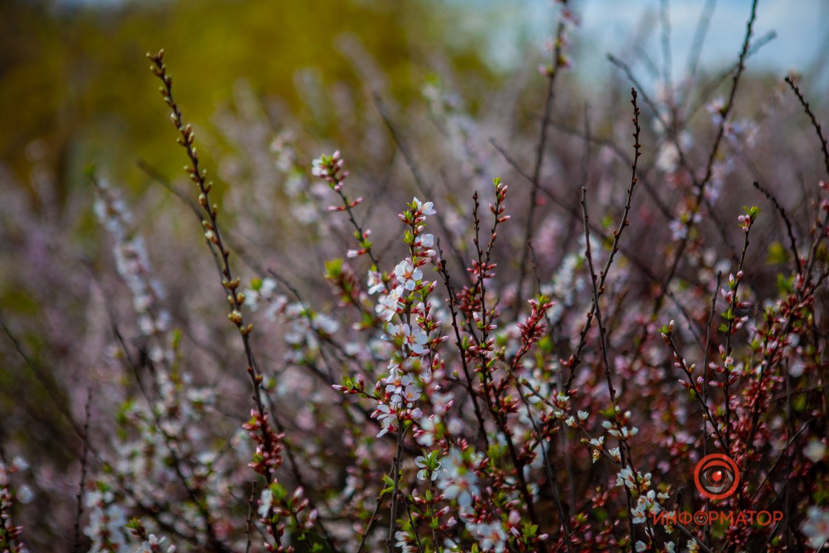 Скоро лето Скоро лето