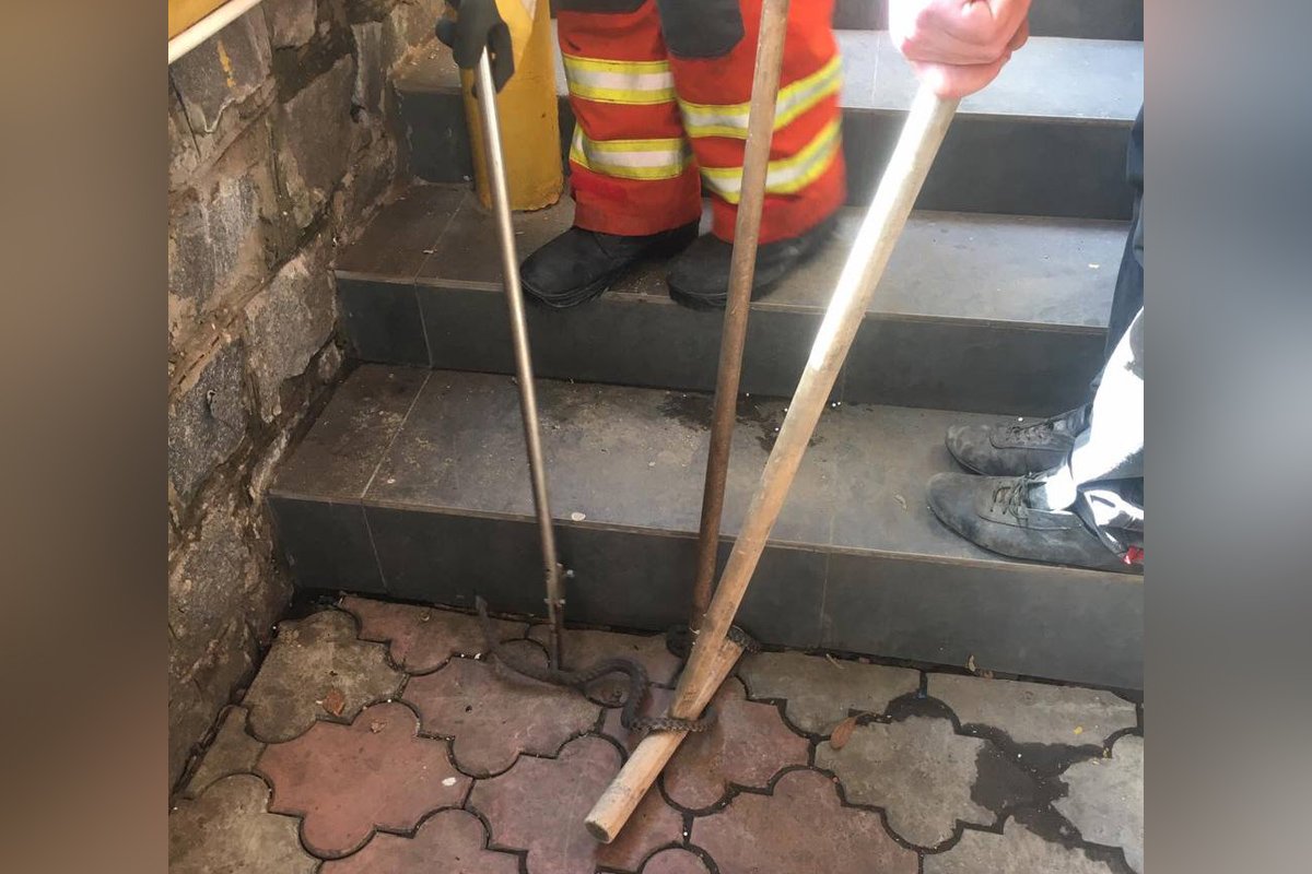 Их вывезли за пределы города