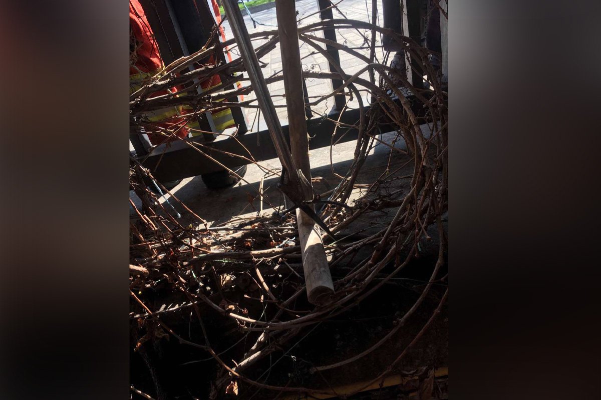 Весной активность ползучих увеличивается