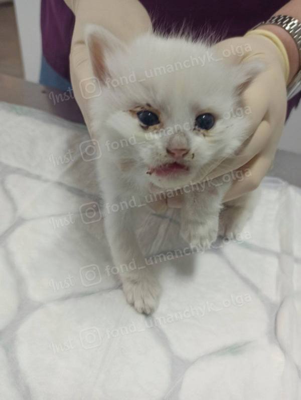 У малыша сломана челюсть