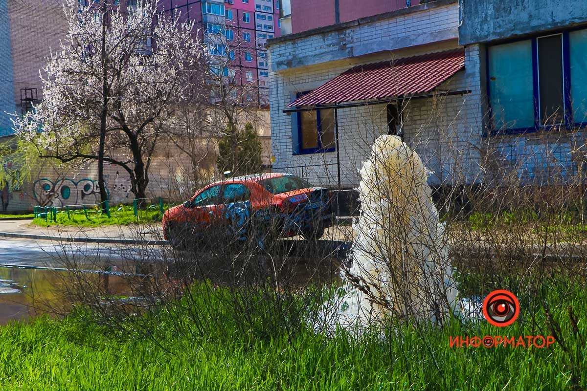 Фото: Андрей Шушпан