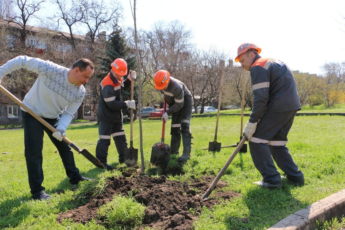ДМЗ вместе с жителями Днепра высадил 80 молодых деревьев