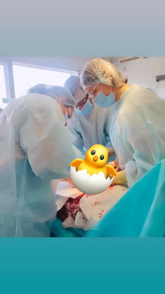 Мастера своего дела