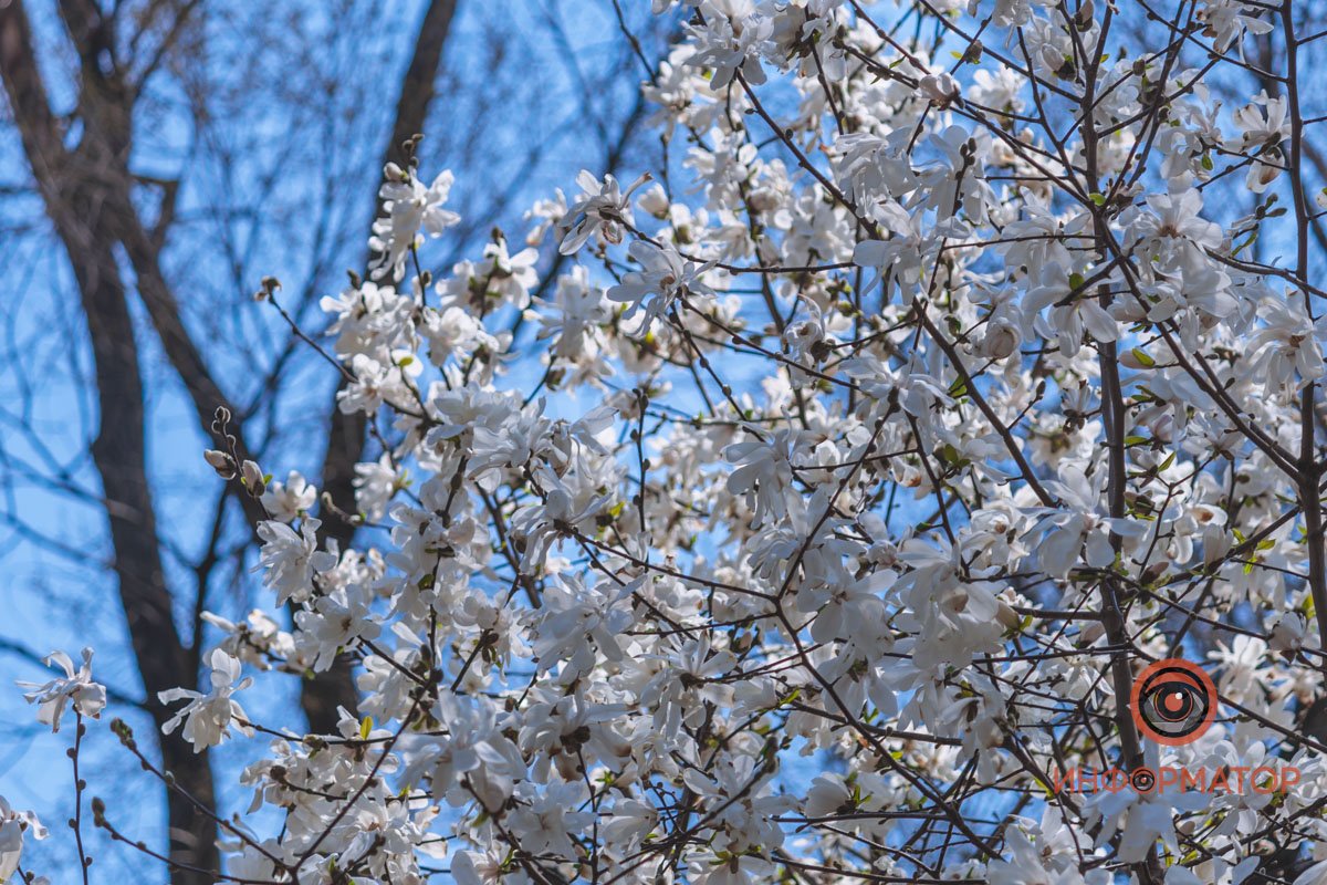 Все словно в снегу Все словно в снегу