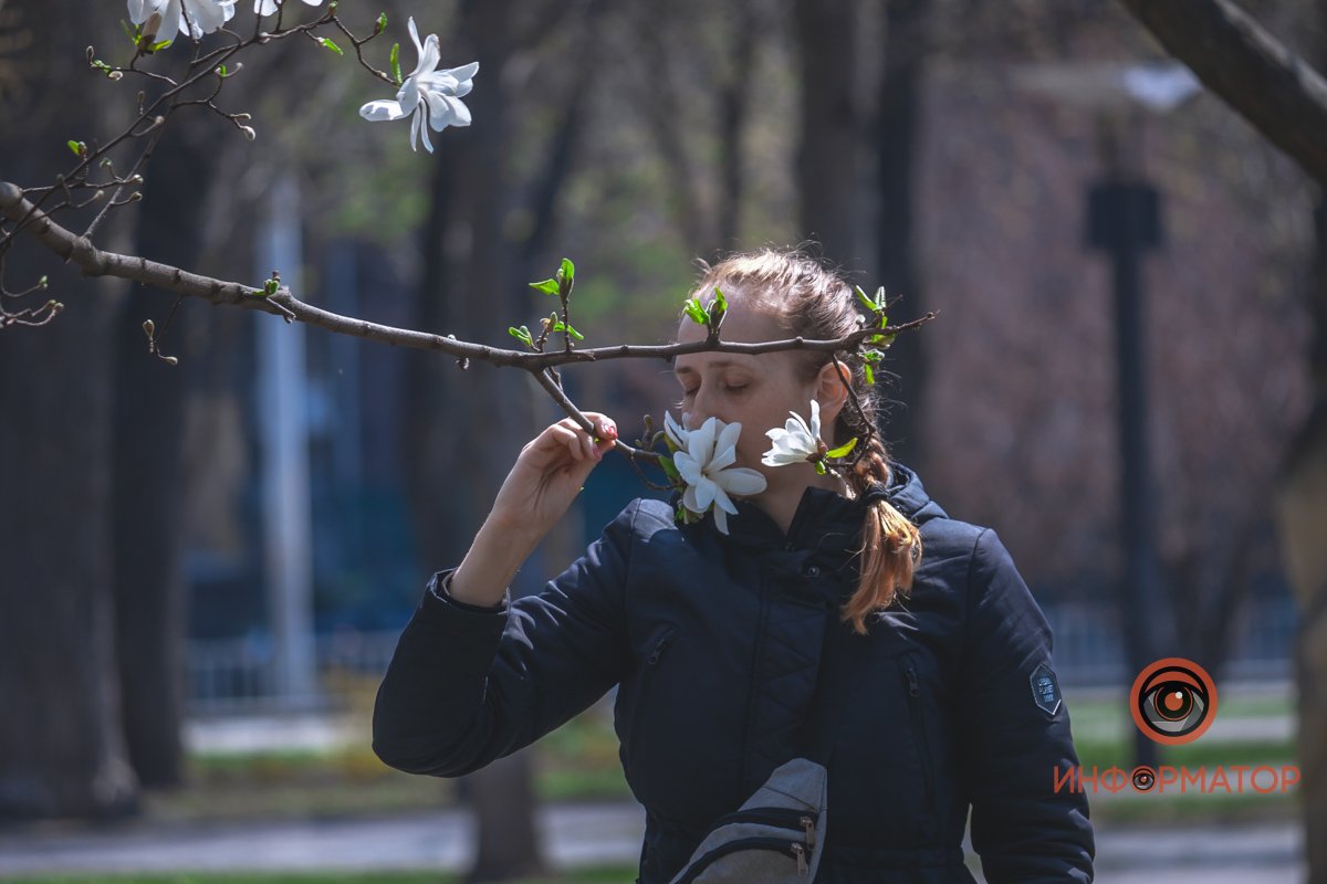 Или же просто взять передышку Или же просто взять передышку