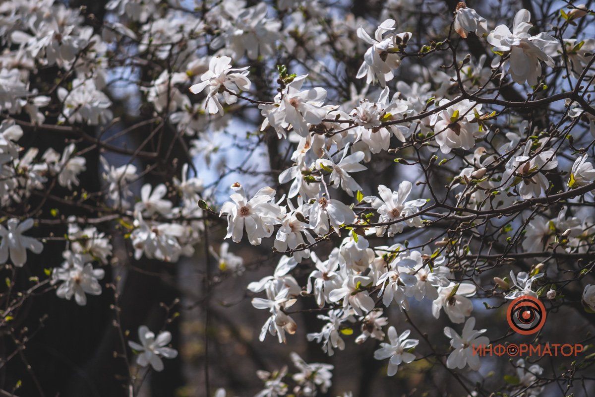 То, чего мы так долго ждали То, чего мы так долго ждали