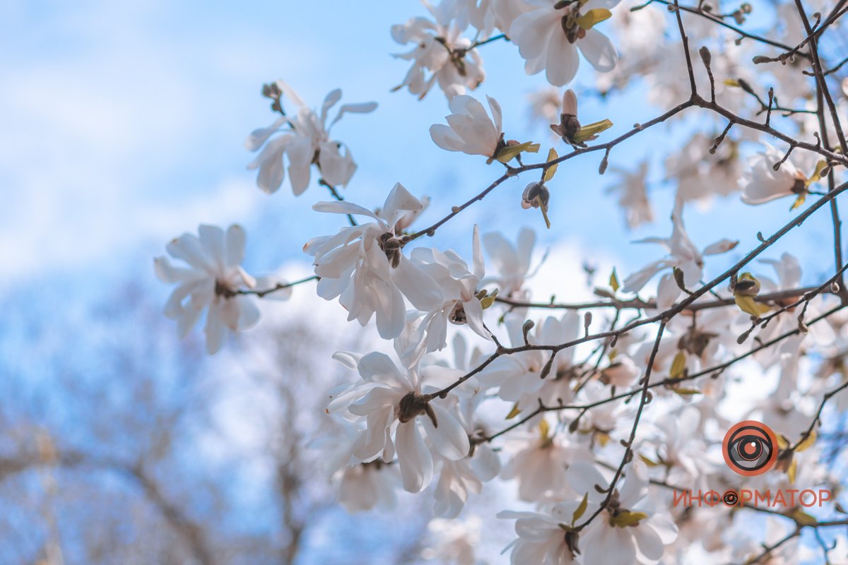 В нежных тонах В нежных тонах