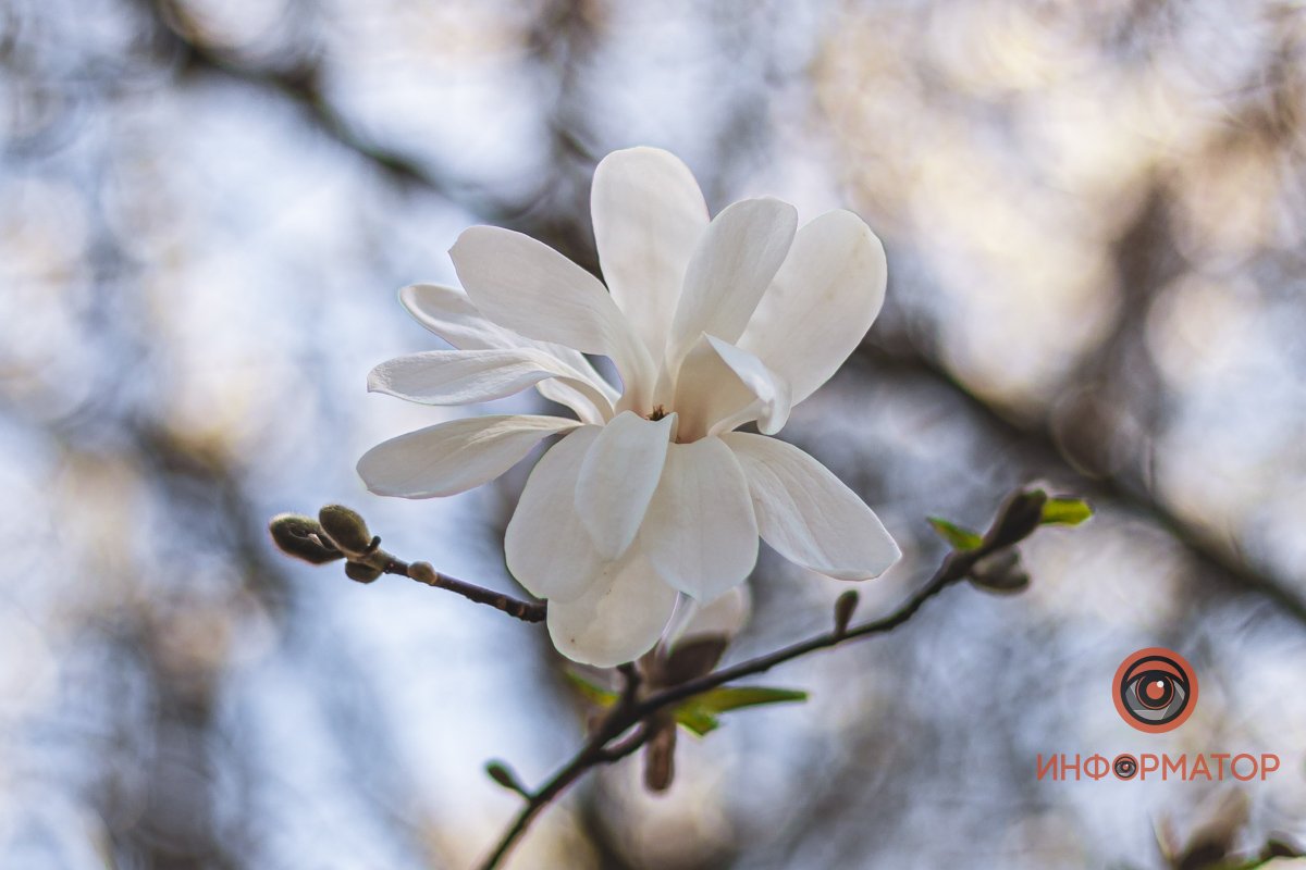 Весна пришла! Весна пришла!