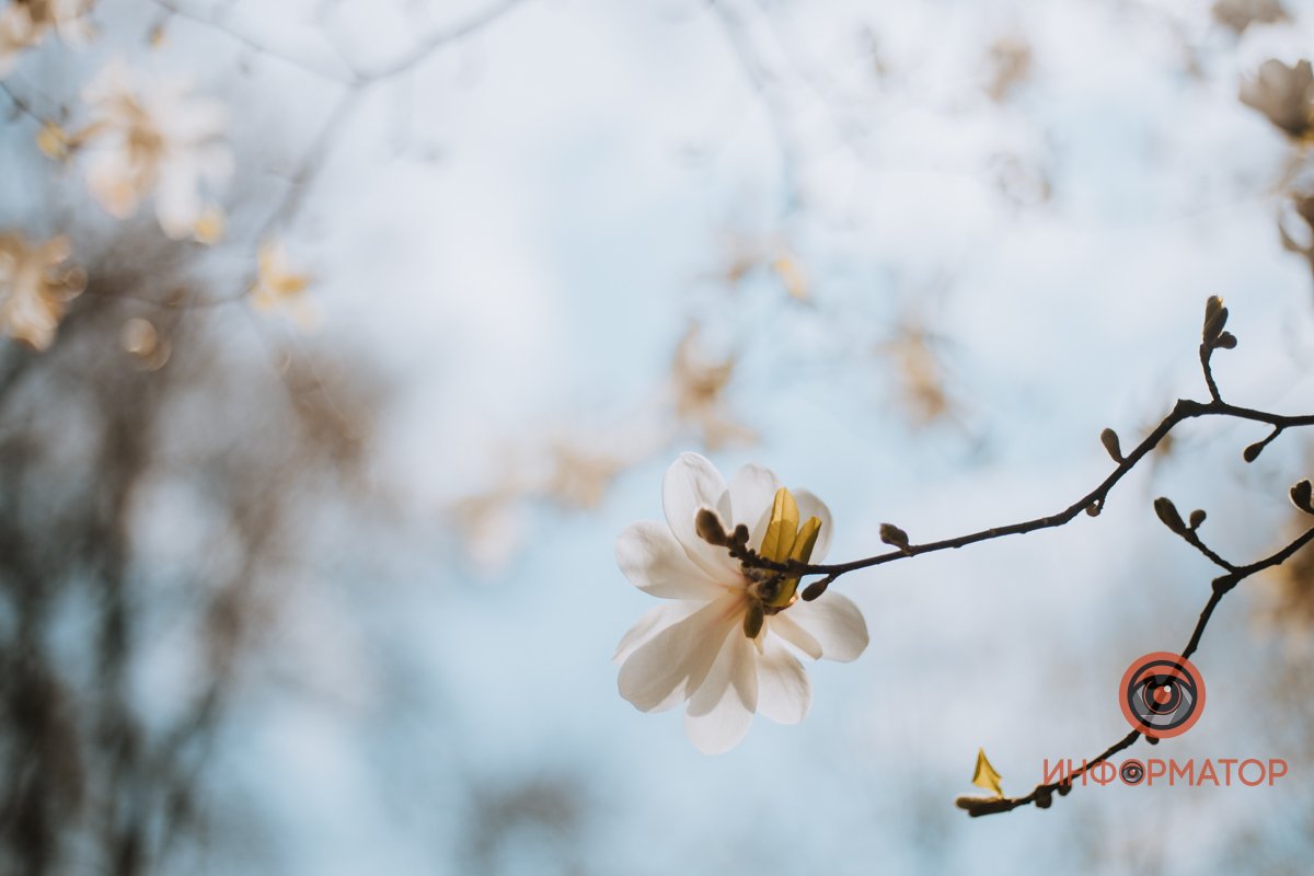 Весна продолжает бороться с холодами Весна продолжает бороться с холодами