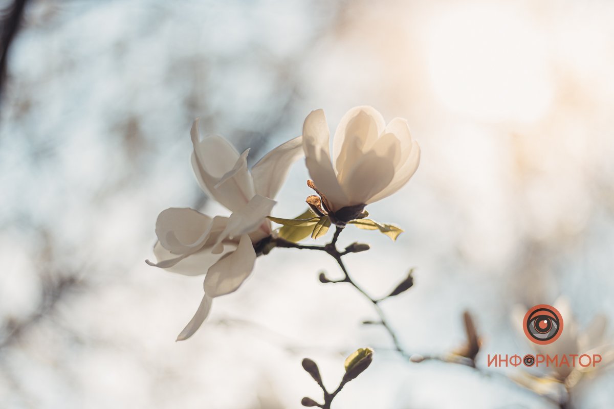 Очень нежно Очень нежно