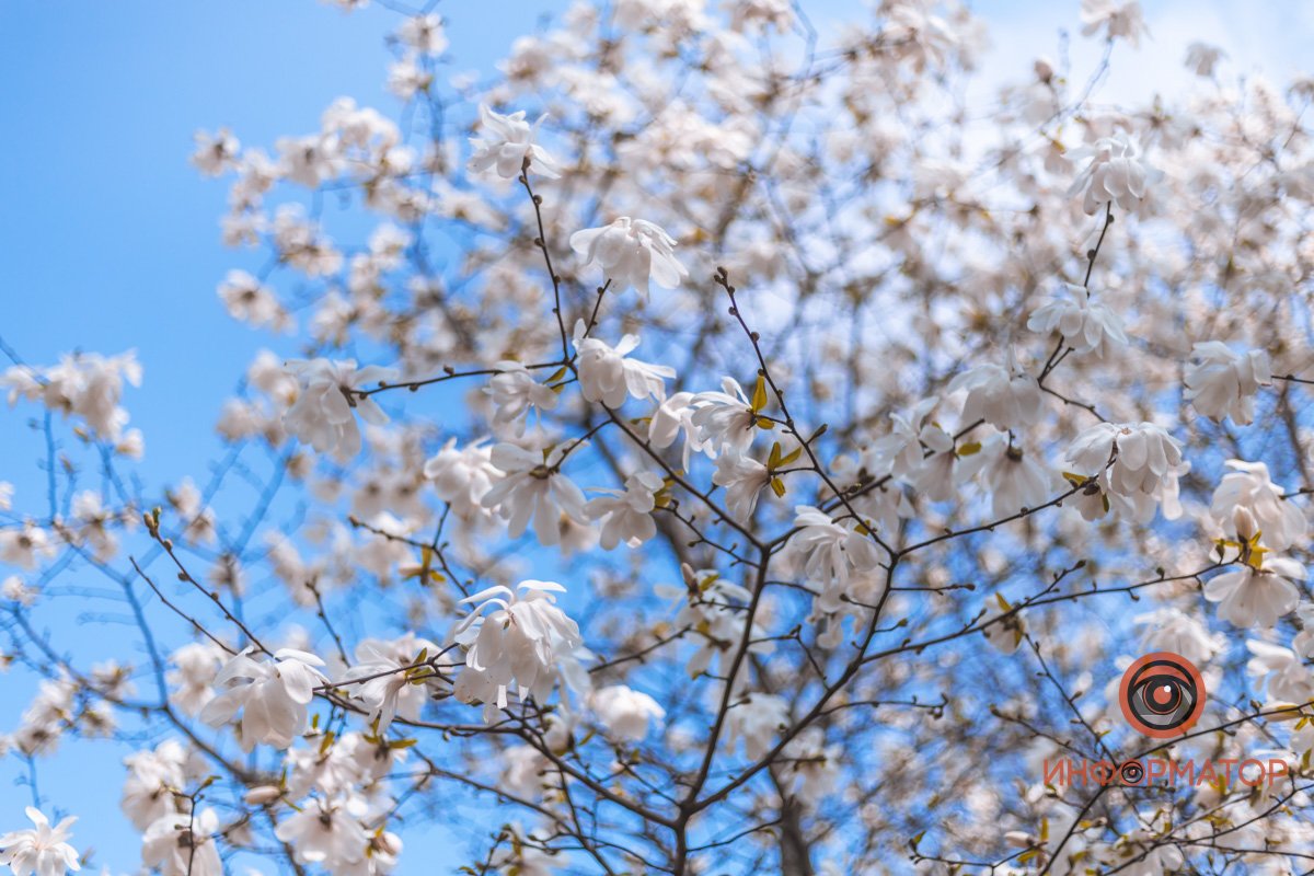 Погода шепчет Погода шепчет