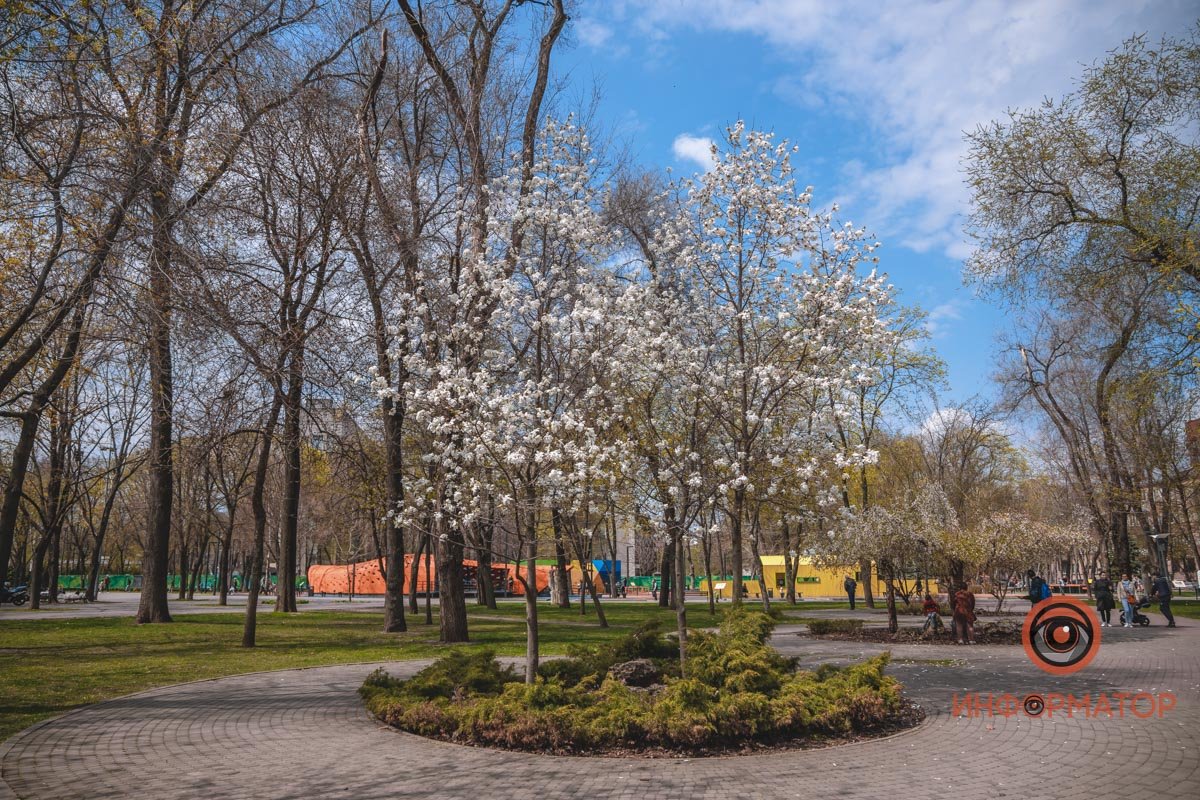 Сквер Героев готов принимать фотолюбителей со всего Днепра Сквер Героев готов принимать фотолюбителей со всего Днепра